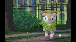 100% Shiny Z-A: Pink Shoes!