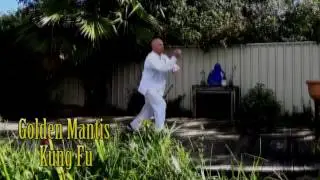 Golden Mantis Kung Fu