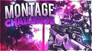 Im Bxn - Ray's [R] Montage Challenge Response