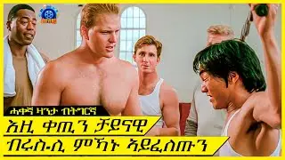 እዞም ናይ ጅም ደንደንቲ እዚ ቀጢን ቻይናዊ  ብሩስሊ ምኻኑ ከይፈለጡ ለኺፎምዎ