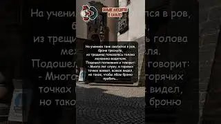 Диво дивное :)