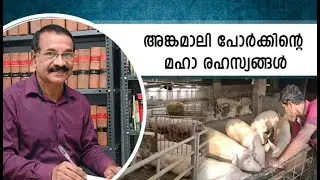Angamaly Pork and its History | Adv Paulachan Puthuppara