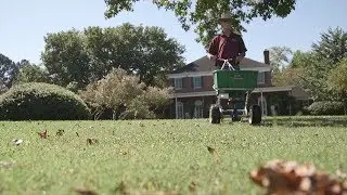 Fall Turf Tips