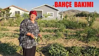 BAHÇEMİZİ ÇORUMA GİTMEDEN  SULAYALIM DEDİK AKŞAM VAKTİ