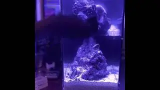 Dymax IQ9