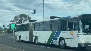 1594 - Mercedes-Benz O305 - PMCSA STA Commuter - Preserved 