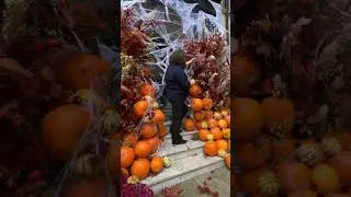 It&rsquo;s witching hour in Mayfair ✨✨✨ #florist #halloween #london