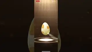 Hatching Rowlet In Pok&eacute;mon Go!! (5km Egg) #pokemon #pokemongo #shorts #fyp #rowlet