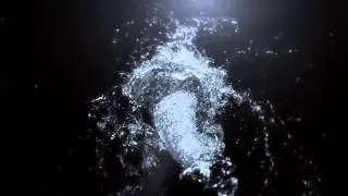 LaRos&eacute; &ndash; ALSCO &ndash; Migration