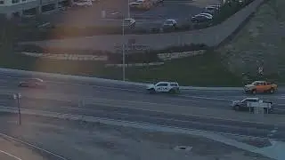Pest control truck being a pesty driver