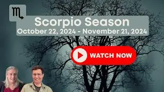 Scorpio Season 2024: Investigate Feelings [All 12 Signs]