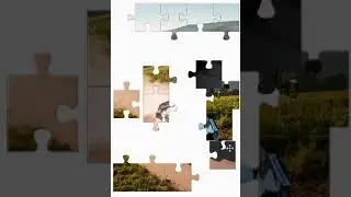 Rally Toyota puzzle