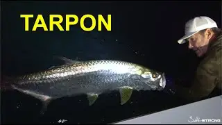 Tarpon Fishing At Night (With Peter Miller & Capt. Russ Kleppinger)
