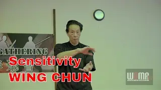 WING CHUN SENSITIVITY