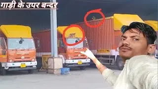 गाड़ी के उपर बन्दर क्या कर रहे l Pradeep traveling l 👌