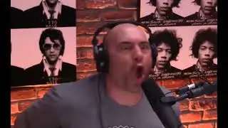 Joe Rogan screaming