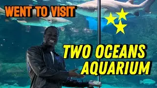INSIDE Cape Town’s Most Amazing Aquarium! 🦈 Two Oceans Adventure