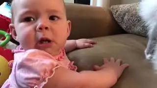 10min Funny Videos Animals   Funniest Turkey Compilation     LIFE FUNNY PETS part 2