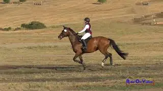 152XC Carrie Finno on Habanera Novice AM Cross Country Woodside August 2018