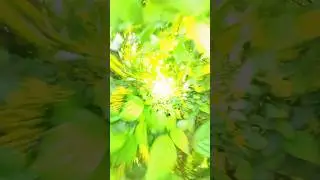 За кадром лайвов #like #live #livestream #livestreaming #livestreams