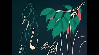 Sergio D&iacute;az De Rojas - Birch Forest