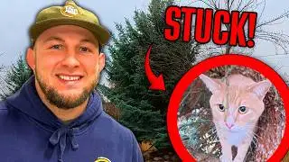 Saving a Cat STUCK in a Tree! (Vlog #3)
