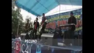 follow-pecundang (indie rock malang)