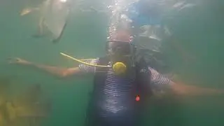 cuba Diving in Cuba | Crystal Clear Water & Marine Life 🤿🌊