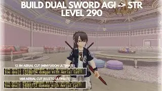 Toram Online Dual Sword Build AGI to STR (Lv 290) - Maximizing Aerial Cut Damage