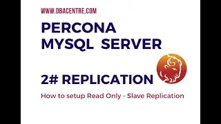 How to setup read only on Slave Replication on Percona MySQL Server | Percona Replication