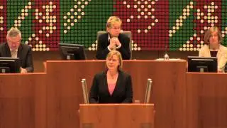 Plenarrede von Jutta Velte zum Thema Optionspflicht