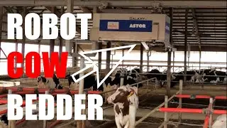 Robotic sand bedding on a dairy farm!