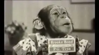 1956 PG Tips Chimps Tea Time Advert
