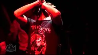 Homewrecker - Love American (Give Up The Ghost Cover) (Track 7 of 8) | Moshcam