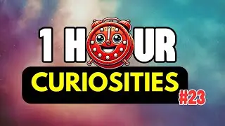 1 HOUR With Many CURIOSITIES That Will Blow Your Mind⏰| #23