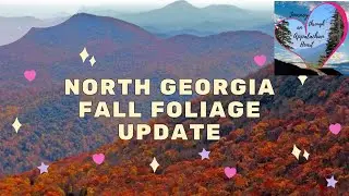 North Georgia Fall Foliage