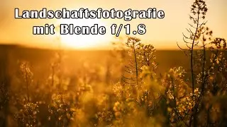 Wie du mit Blende f/1,8 tolle Landschaftsfotos machst
