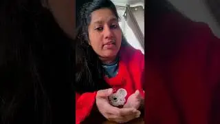 FACTS Transcript Negative Reviews - Sreelekshmi&rsquo;s WhatsApp 8495000033