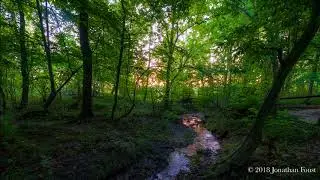 The Role of Devotion in Spiritual Practice with Jonathan Foust