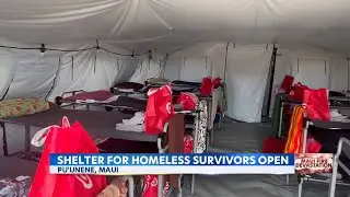 Temporary shelter for houseless set up for Lahaina wildfire survivors