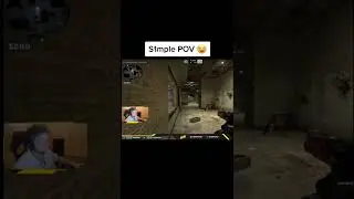 S1mple trolling his teammate in CSGO 😂