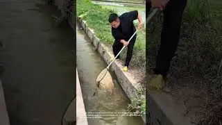Man Fishing in Irrigation Canal with Net