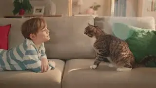 Kitekat &laquo;Кот Борис и секрет энергии&raquo;, 2018