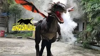 Black Dragon Suit Spitting Smoke