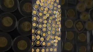 Mega Hoard of 1/10 ounce Pure Gold Coins! Aka stacker fractional gold