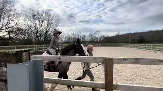 Emily Silvey Riding Toby- My First Dressage Test 2 (lead rein) - CDRC Online Dressage - January 