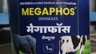 मेगाफॉस आणि CMF गोल्ड चा शेतकऱ्यांना मिळालेला रि्सल्ट.