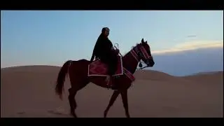 Sonia TANNICH - LA LA YA AINI - لا لا يا عيني (Vid&eacute;o Officielle)