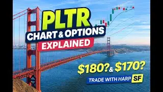 PLTR Stock Near $200? Here&rsquo;s the Smart Put Option Professionals Buy