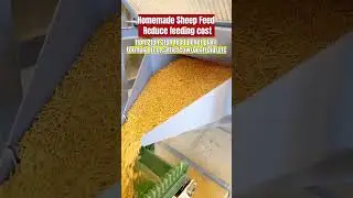 Pellet machine for animal feed price
